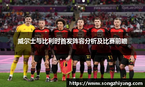 威尔士与比利时首发阵容分析及比赛前瞻